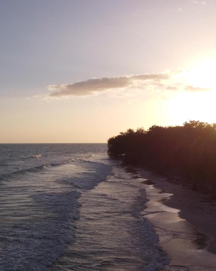 Alba Coral Hotel Pedernales Εξωτερικό φωτογραφία